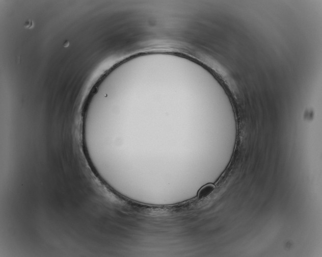 X0000101201472200807251014