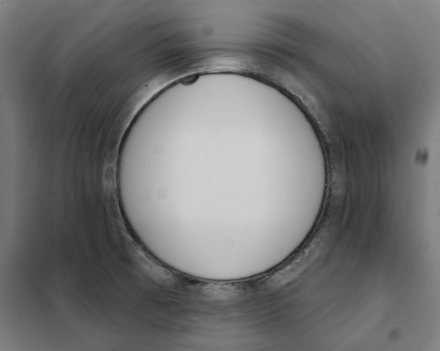 X0000101201473200807251014