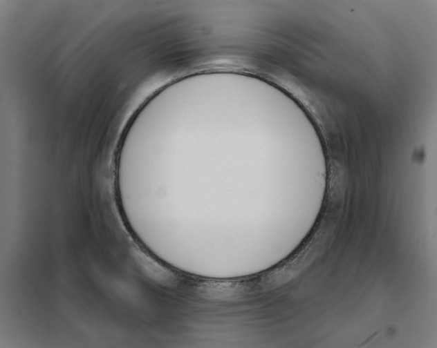 X0000101201474200807251014