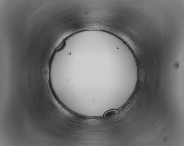 X0000101201476200807251014