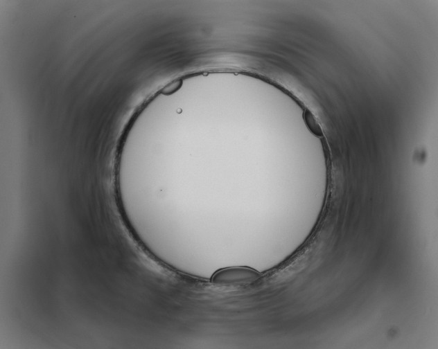 X0000101201477200807251014