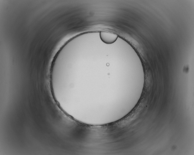 X0000101201478200807251014