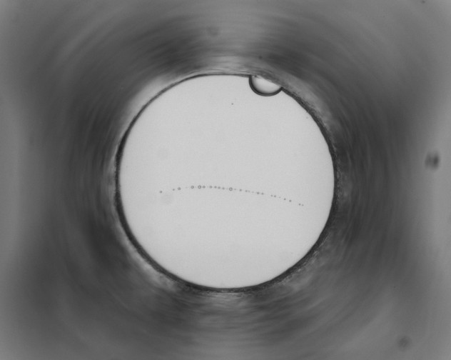 X0000101201479200807251014