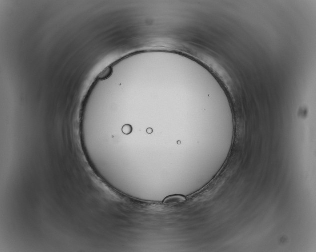 X0000101201480200807251014