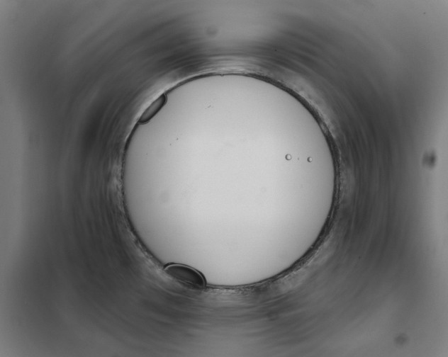 X0000101201481200807251014