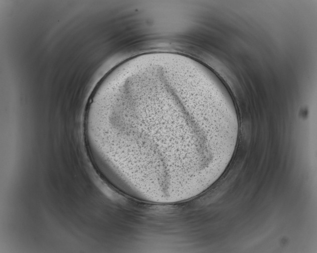 X0000101201482200807251014