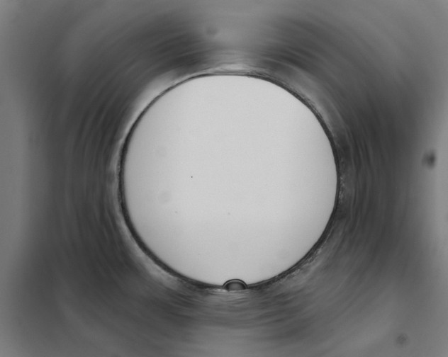 X0000101201483200807251014