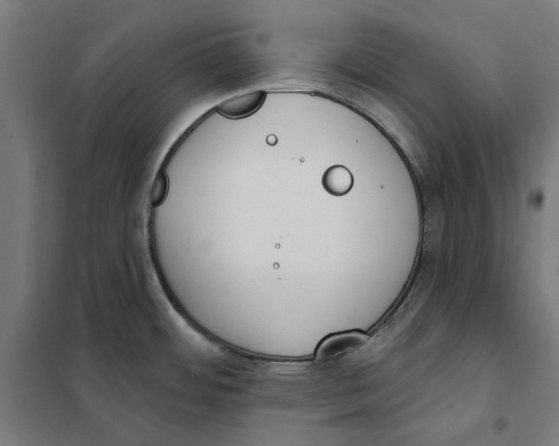 X0000101201484200807251014