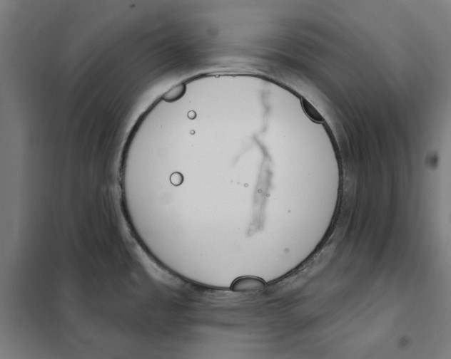 X0000101201485200807251014