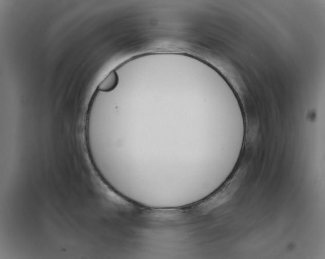 X0000101201486200807251014