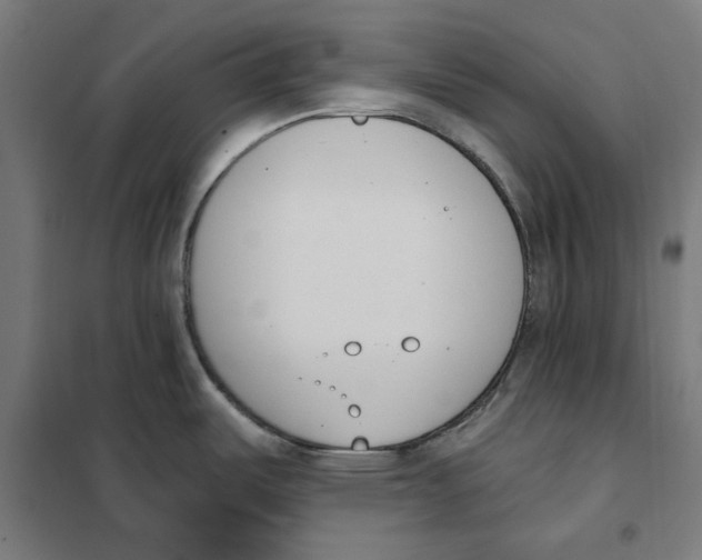 X0000101201487200807251014