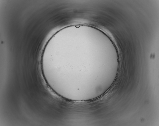 X0000101201488200807251014