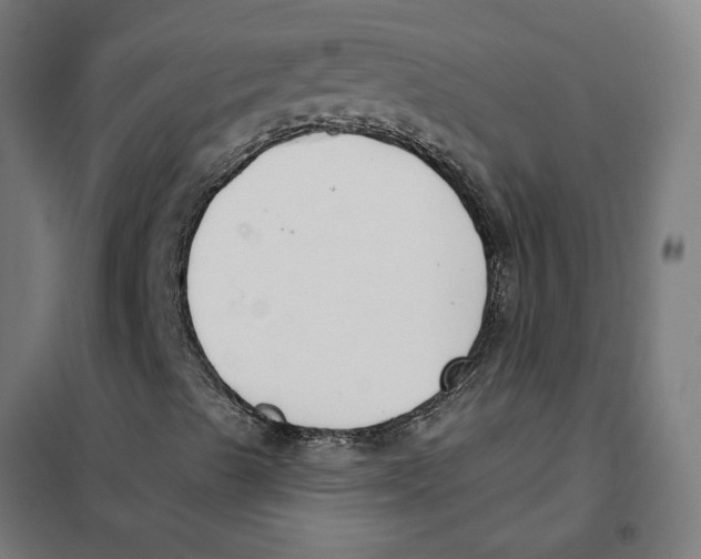 X0000101201489200807251013