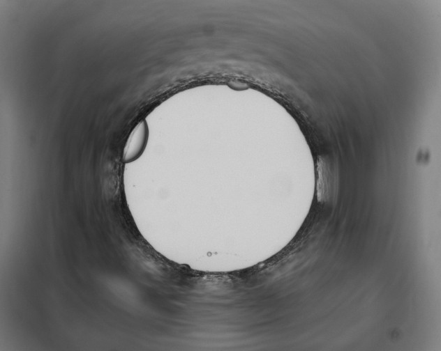 X0000101201491200807251013