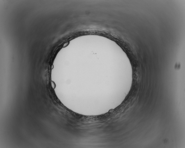 X0000101201493200807251013