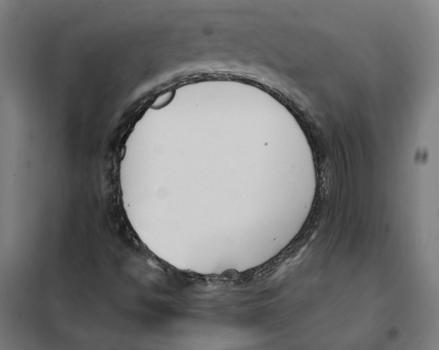 X0000101201494200807251013