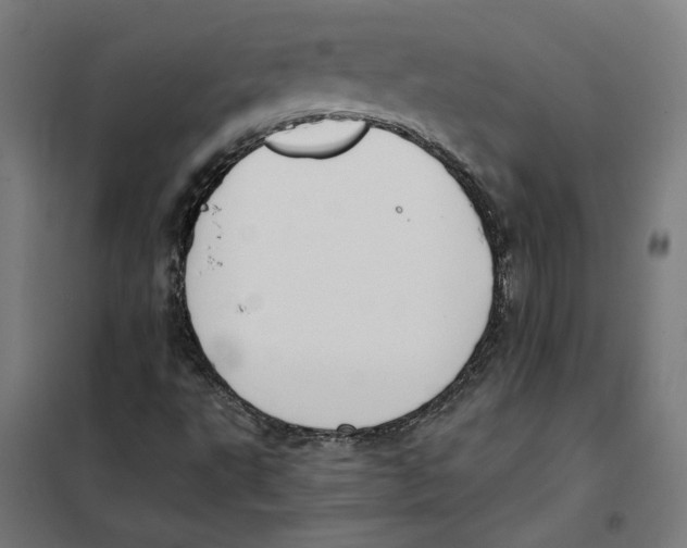 X0000101201495200807251013