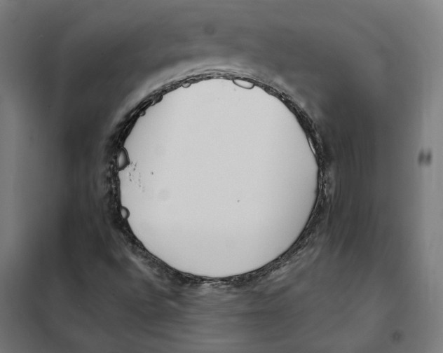 X0000101201496200807251013