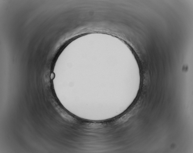 X0000101201499200807251013