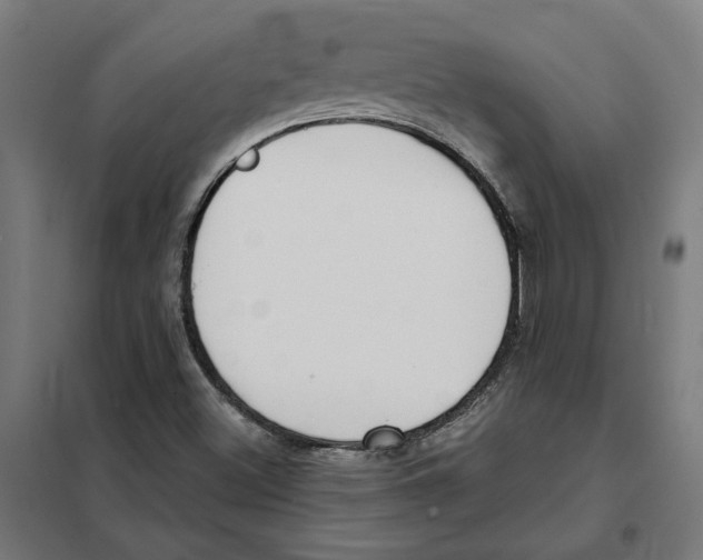 X0000101201500200807251013