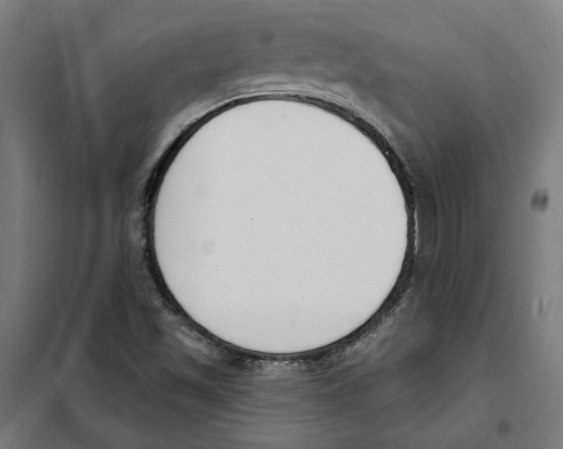 X0000101201501200807251013