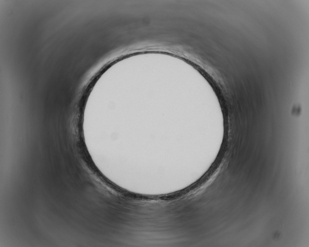 X0000101201502200807251013