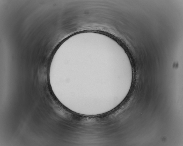 X0000101201505200807251013