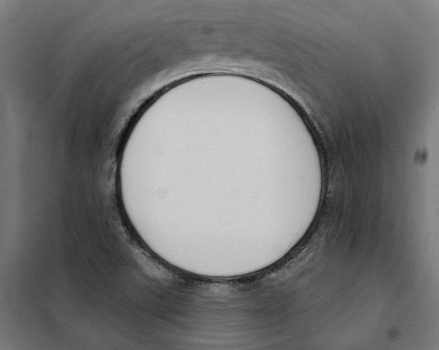 X0000101201507200807251013