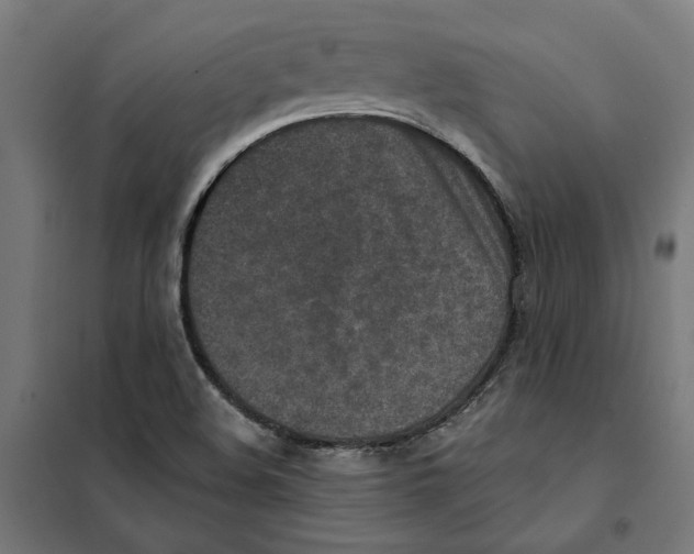 X0000101201508200807251013