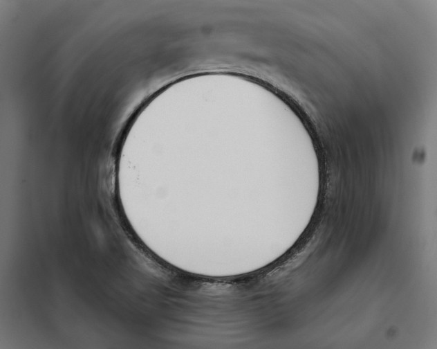 X0000101201509200807251013