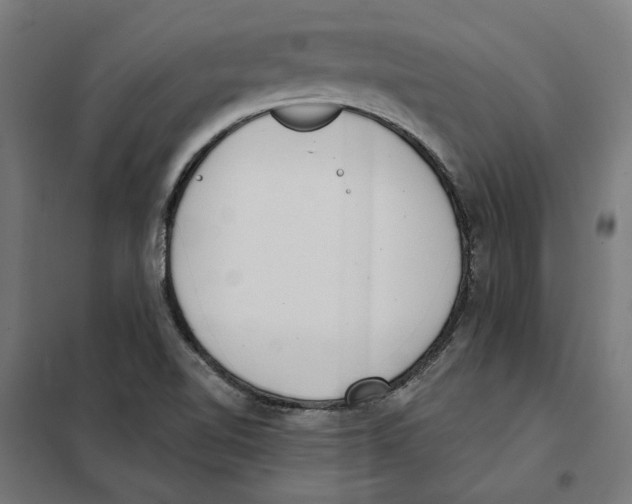 X0000101201510200807251013