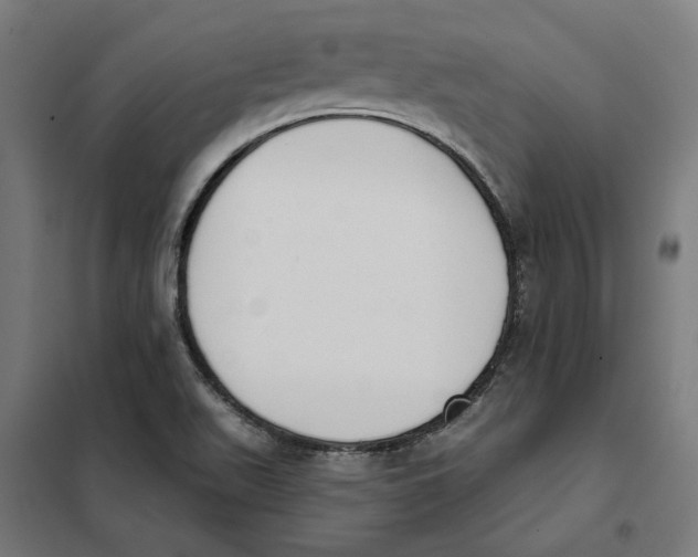 X0000101201511200807251013