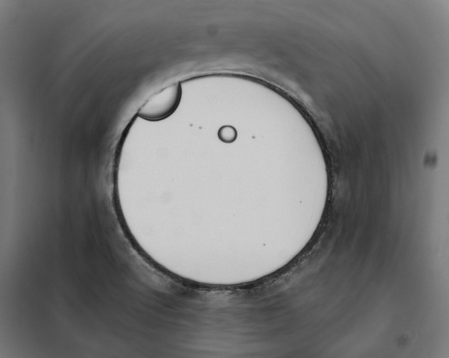 X0000101201512200807251013