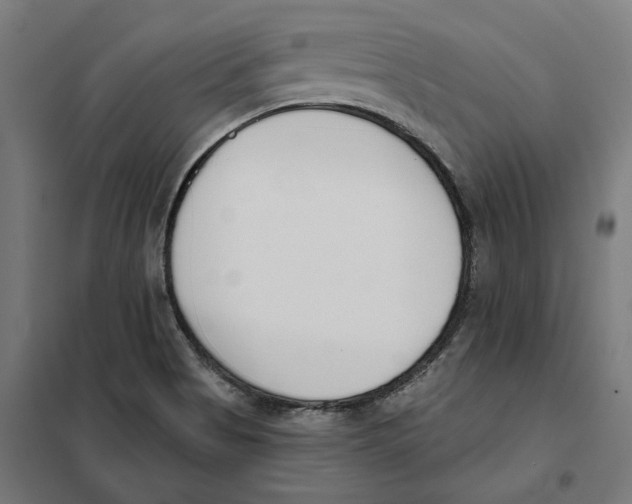 X0000101201513200807251013