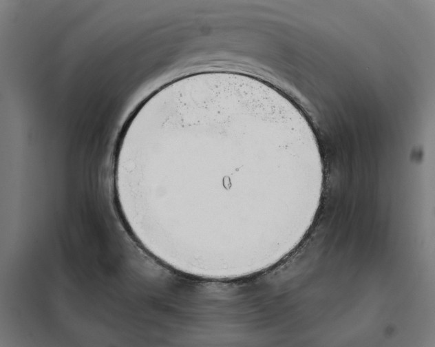 X0000101201514200807251013