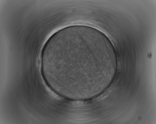 X0000101201515200807251013