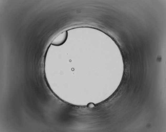 X0000101201516200807251013