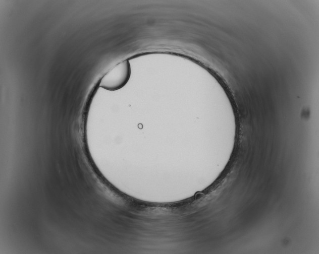 X0000101201517200807251013