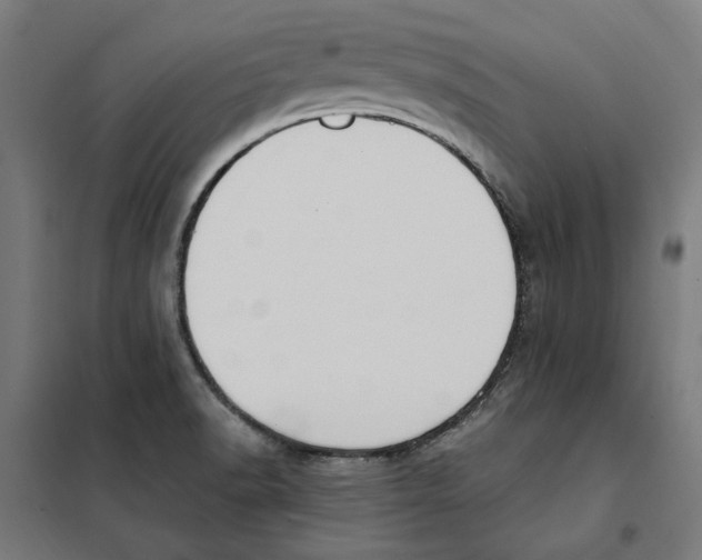 X0000101201518200807251013