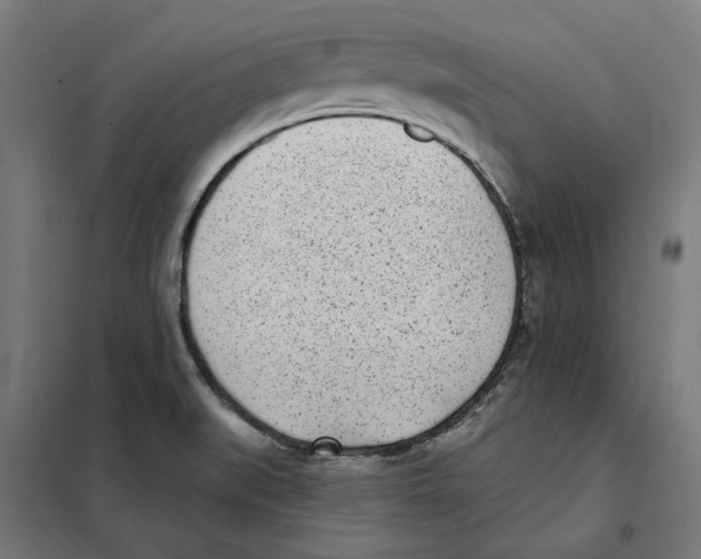 X0000101201519200807251013