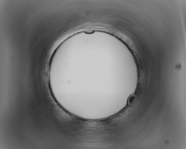 X0000101201520200807251014