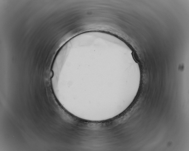 X0000101201521200807251014