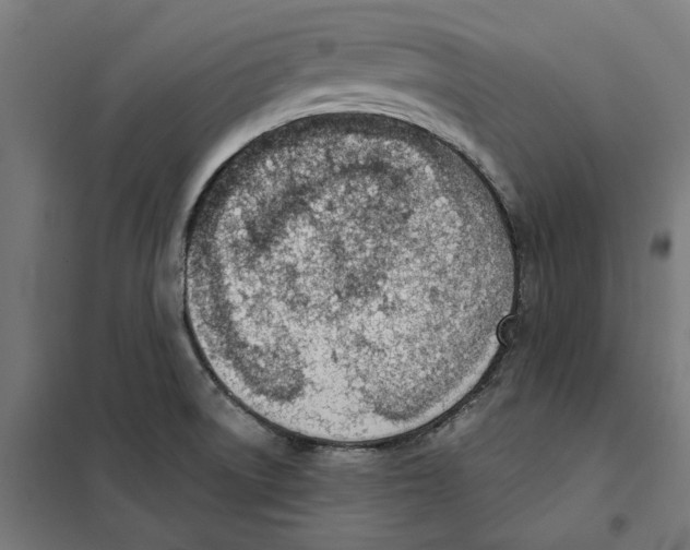 X0000101201522200807251014