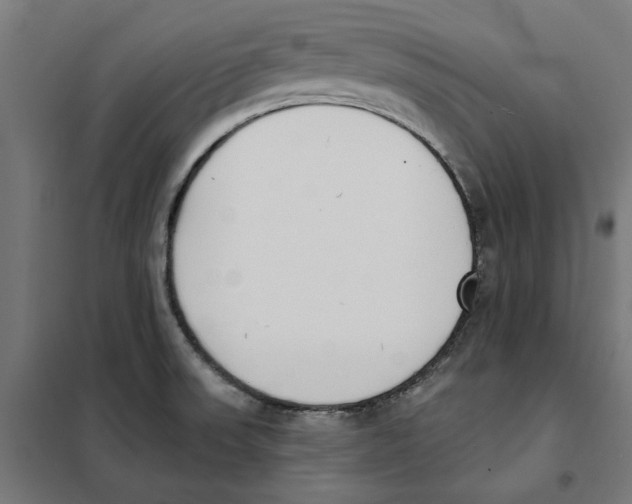 X0000101201523200807251014