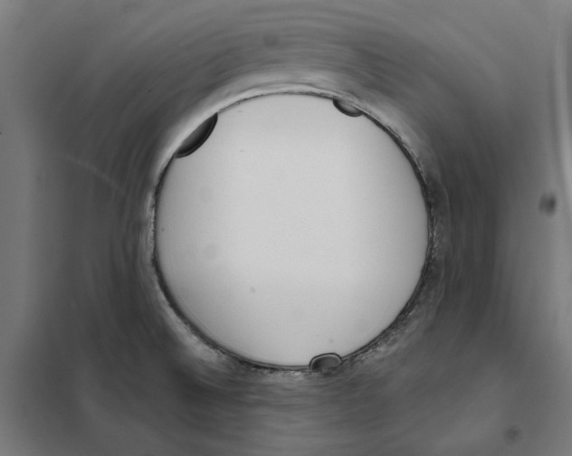 X0000101201524200807251014