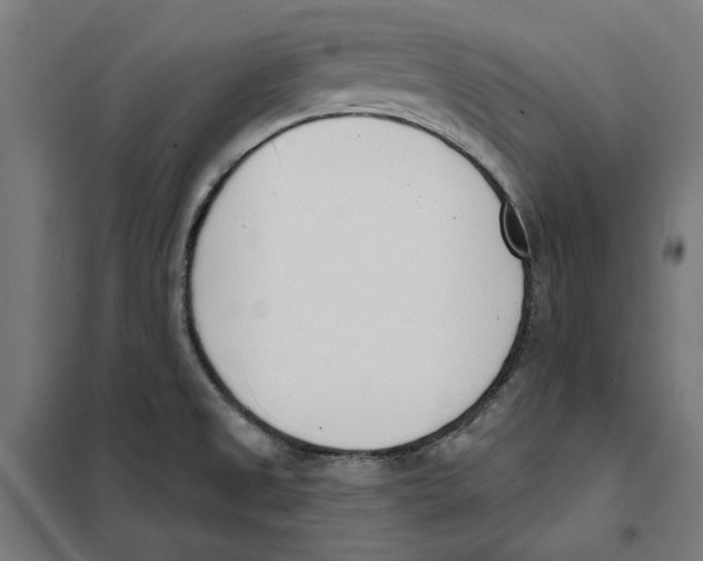 X0000101201525200807251014