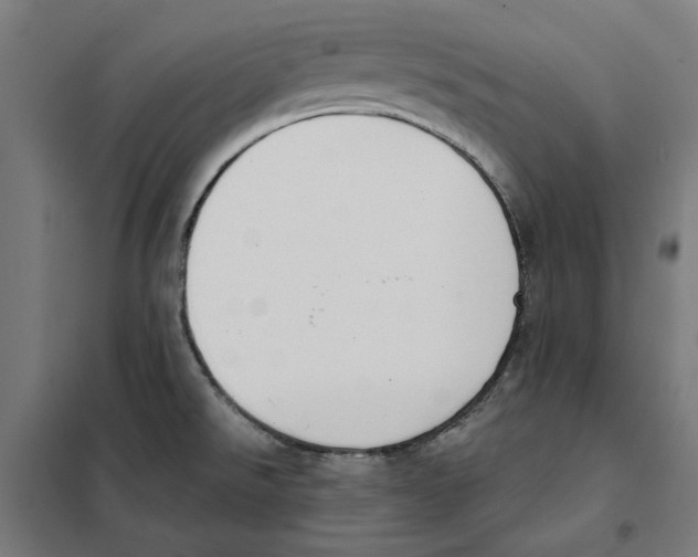 X0000101201526200807251014