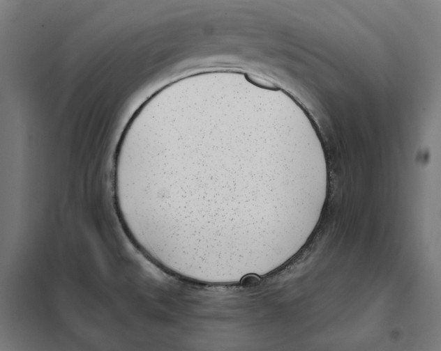 X0000101201527200807251014