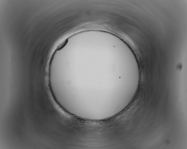 X0000101201528200807251014