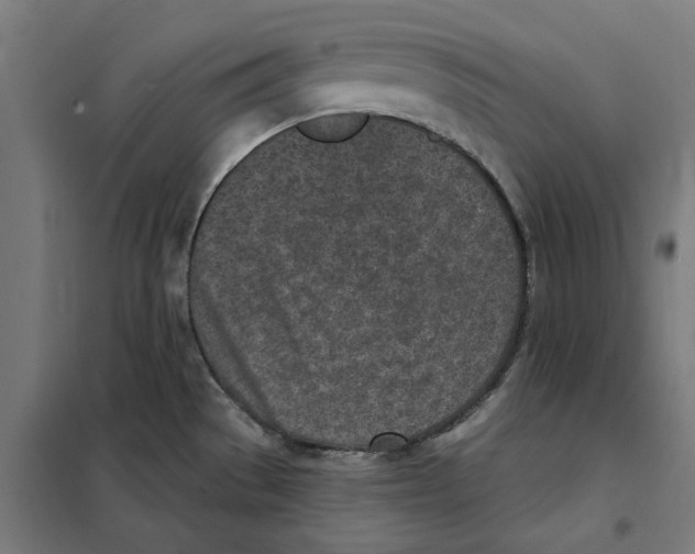 X0000101201529200807251014